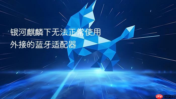 银河麒麟下无法正常使用外接的蓝牙适配器