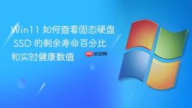 Win11 如何查看固态硬盘 SSD 的剩余寿命百分比和实时健康数值