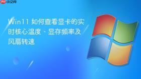 Win11 如何查看显卡的实时核心温度、显存频率及风扇转速