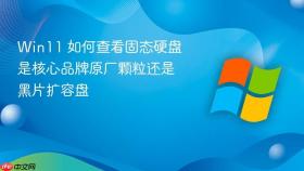 Win11 如何查看固态硬盘是核心品牌原厂颗粒还是黑片扩容盘