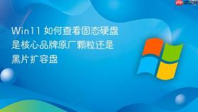 win11 如何查看固态硬盘是核心品牌原厂颗粒还是黑片扩容盘