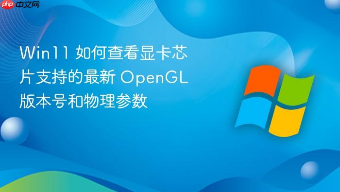 win11 如何查看显卡芯片支持的最新 opengl 版本号和物理参数