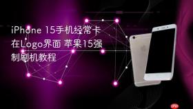 iPhone 15手机经常卡在Logo界面 苹果15强制刷机教程
