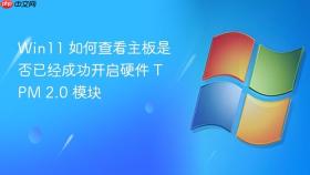 win11 如何查看主板是否已经成功开启硬件 tpm 2.0 模块