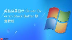 电脑蓝屏显示 Driver Overran Stack Buffer 修复教程