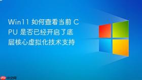 win11 如何查看当前 cpu 是否已经开启了底层核心虚拟化技术支持
