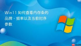 win11 如何查看内存条的品牌、频率以及当前时序参数