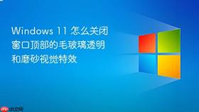 windows 11 怎么关闭窗口顶部的毛玻璃透明和磨砂视觉特效