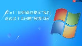 Win11 应用商店提示“我们这边出了点问题”报错代码