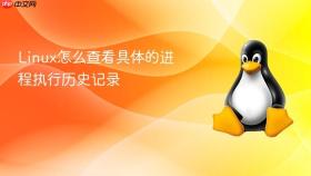 linux怎么查看具体的进程执行历史记录