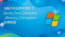 电脑开机蓝屏并提示 special_pool_detected_memory_corruption 故障修复