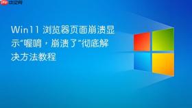 Win11 浏览器页面崩溃显示“喔唷，崩溃了”彻底解决方法教程