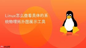 linux怎么查看具体的系统物理拓扑图展示工具