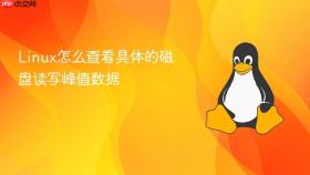 Linux怎么查看具体的磁盘读写峰值数据