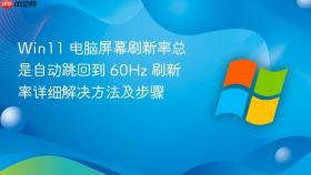 Win11 电脑屏幕刷新率总是自动跳回到 60Hz 刷新率详细解决方法及步骤
