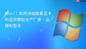 Win11 如何详细查看显卡的显存颗粒生产厂家、品牌和型号