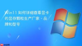 win11 如何详细查看显卡的显存颗粒生产厂家、品牌和型号