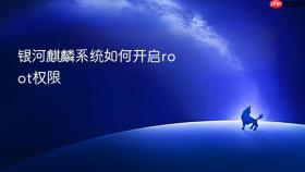 银河麒麟系统如何开启root权限