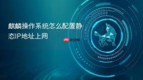麒麟操作系统怎么配置静态ip地址上网