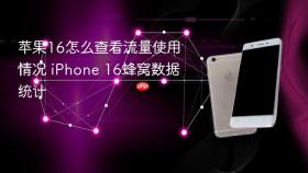 苹果16怎么查看流量使用情况 iPhone 16蜂窝数据统计
