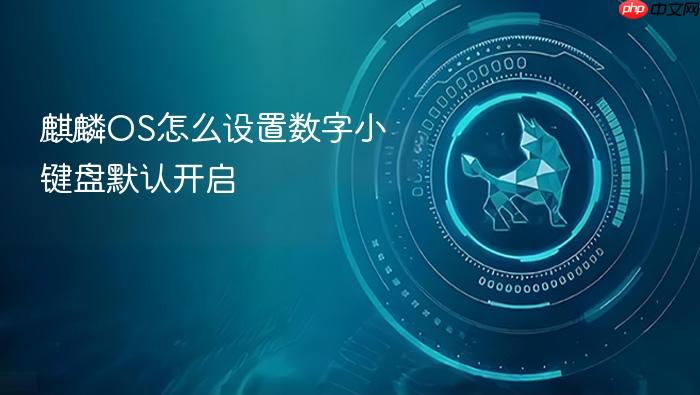 麒麟os怎么设置数字小键盘默认开启