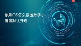 麒麟os怎么设置数字小键盘默认开启