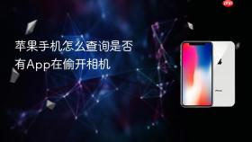 苹果手机怎么查询是否有App在偷开相机