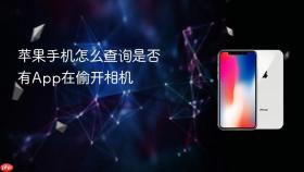 苹果手机怎么查询是否有app在偷开相机