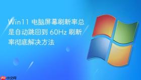 win11 电脑屏幕刷新率总是自动跳回到 60hz 刷新率彻底解决方法