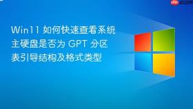 win11 如何快速查看系统主硬盘是否为 gpt 分区表引导结构及格式类型