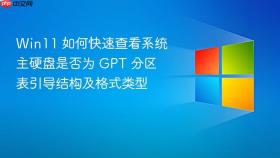 Win11 如何快速查看系统主硬盘是否为 GPT 分区表引导结构及格式类型