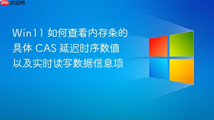 win11 如何查看内存条的具体 cas 延迟时序数值以及实时读写数据信息项