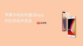 苹果手机如何查询app的历史版本信息