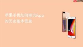 苹果手机如何查询App的历史版本信息