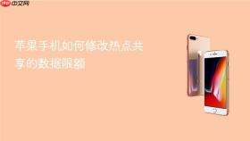 苹果手机如何修改热点共享的数据限额