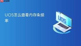 uos怎么查看内存条频率