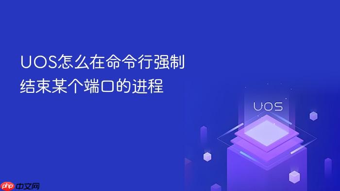 uos怎么在命令行强制结束某个端口的进程