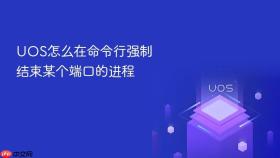 uos怎么在命令行强制结束某个端口的进程