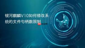 银河麒麟V10如何修改系统的文件句柄数限制