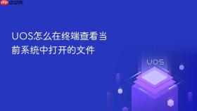 uos怎么在终端查看当前系统中打开的文件