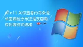 Win11 如何查看内存条是单面颗粒分布还是双面颗粒封装样式结构