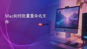 mac如何批量重命名文件