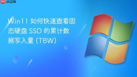 Win11 如何快速查看固态硬盘 SSD 的累计数据写入量 (TBW)