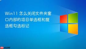 win11 怎么关闭文件夹窗口内部的项目单选框和复选框勾选标记