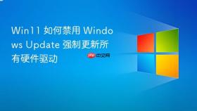 win11 如何禁用 windows update 强制更新所有硬件驱动
