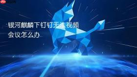 银河麒麟下钉钉无法视频会议怎么办