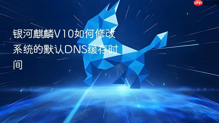 银河麒麟v10如何修改系统的默认dns缓存时间