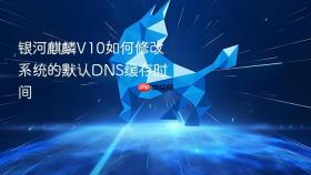 银河麒麟V10如何修改系统的默认DNS缓存时间