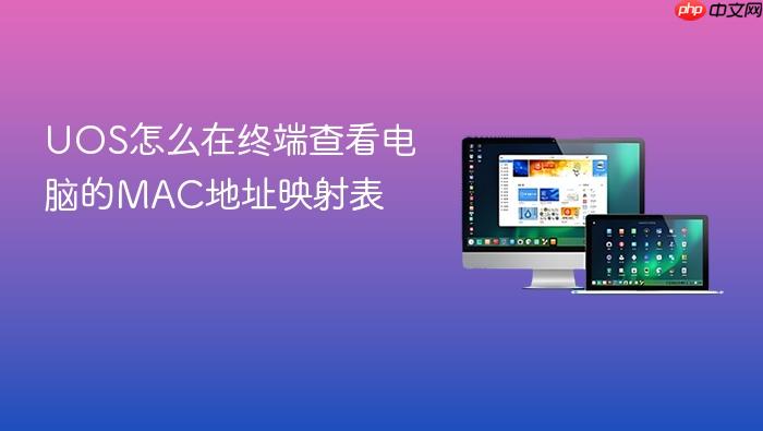 uos怎么在终端查看电脑的mac地址映射表