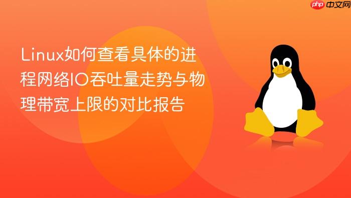 linux如何查看具体的进程网络io吞吐量走势与物理带宽上限的对比报告